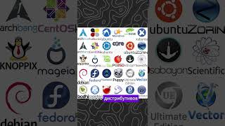 Спидран по Linux за 60 секунд #linux #tech #tutorial