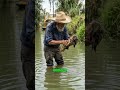 El santuario del miedo: El trágico y oscuro origen de la Isla de las Muñecas. 🏝️💀