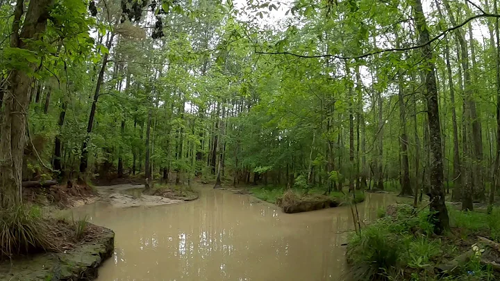 Sabine ATV Park--Day Trip