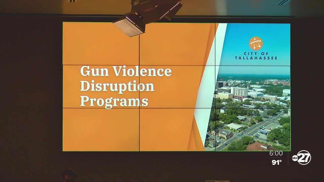 City of Tallahassee to host workshop on how to curb gun violence - YouTube