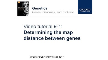 Determining the Map Distance Between Genes