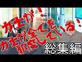 【一気見総集編-COC】力士であることが全てに災いするクトゥルフ神話TRPG 【ケイデントの遺体】【ボイロ&ゆっくり】
