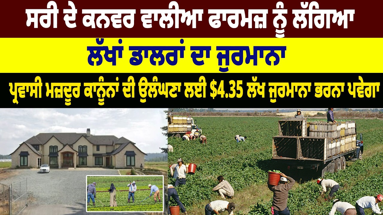 Canada : Surrey ਦੇ Kanwar Walia Farms ਨੂੰ ਲੱਗਿਆ ਲੱਖਾਂ Dollars ਦਾ ਜੁਰਮਾਨਾ | Hamdard Tv |