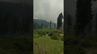 #Kashmir #beautiful #view #travel #nature #apple #vlog