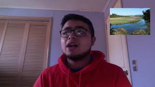 Video Abstract: High-Performance Tools to Generate and Visualize a Sonic Time-Lapse - ICMC2021