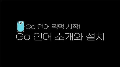 Go언어 공부 시작! Go 언어 소개와 설치