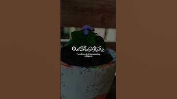 سورة الناس #اكسبلور #قرآن #المصحف #راحة_نفسية