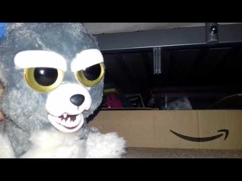 Seconds with sammy