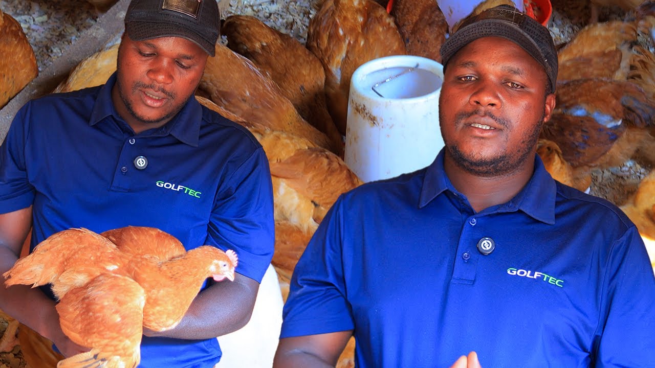 Kugishoro🤑🤑gito wa korora inkoko…. Tubane mukiganiro