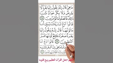 سورة البقرة من الاية 67 الى الاية 73 #اكسبلور #memorizequran #holyquran