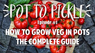 How To Grow Vegetables In Pots: The Complete Guide 🍅 #PotToPickle Ep.1