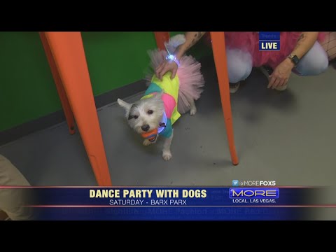 Barx Parx to host Electronic Dog Party in Vegas