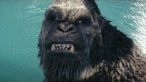 Trapper Change Kong