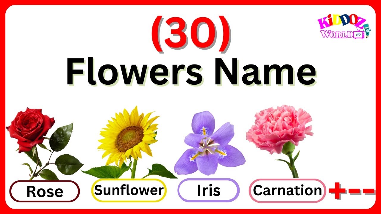 Flowers Name| Name of Flowers| Learn Flower Names in English, image size:1280x720