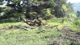 AMAZING BIGFOOT SIGHTING IRELAND 2017!!!!