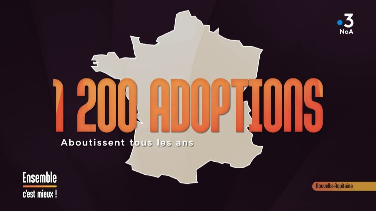 Adoption : devenir parent.s ET enfant.s... Ensemble c'est mieux