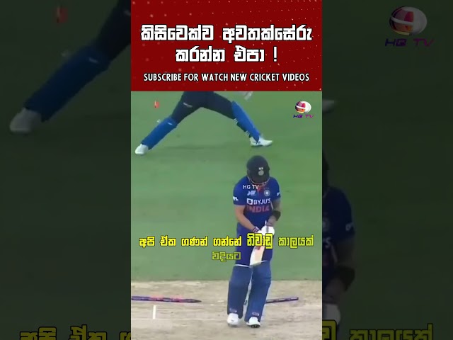 කාවවත් අවතක්සේරු කරන්න එපා ! 🙂 cricket shorts Dasun Shanaka Batting Sri Lanka Cricket Negambo nailer class=