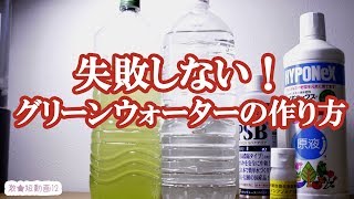 失敗しないグリーンウォーターの作り方。＊失敗している人向け【めだか】