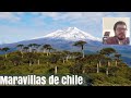 Mexicano Reacciona A Las Maravillas De Chile 🇨🇱