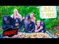 CHIMP NACHO TABLE