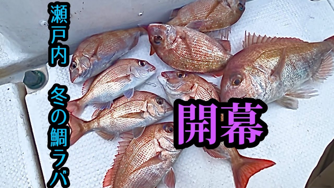 当たるけど釣れない！冬の瀬戸内鯛ラバ、開幕です