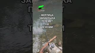 Жерлица. Закидушка. Перемёт. на течении реки. #поплавок_высоцкого #жерлица #кораблик #рыбалка2025