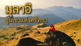 มุลาอิ เขาแห่งศรัทธา I ทุ่งหญ้าสีทอง I TIMEKUNG