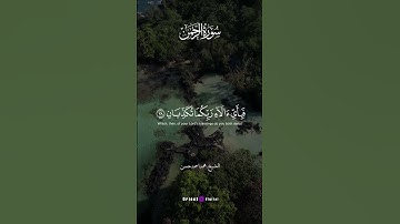 آيات تلامس الروح وتغسل الهموم | جمال القرآن لا يوصف