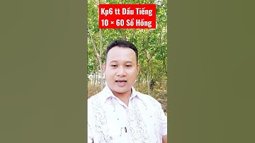 Đất Dầu Tiếng I Cần ra gấp  - Lô đất  kp6 - Giá rẽ#shorts