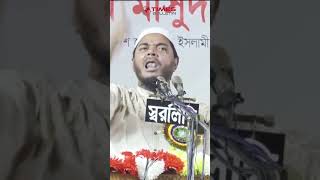 ড. শফিকুল ইসলাম মাসুদ