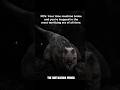 0% Survival Rate: Cretaceous Period #dinosaur #prehistoricanimals