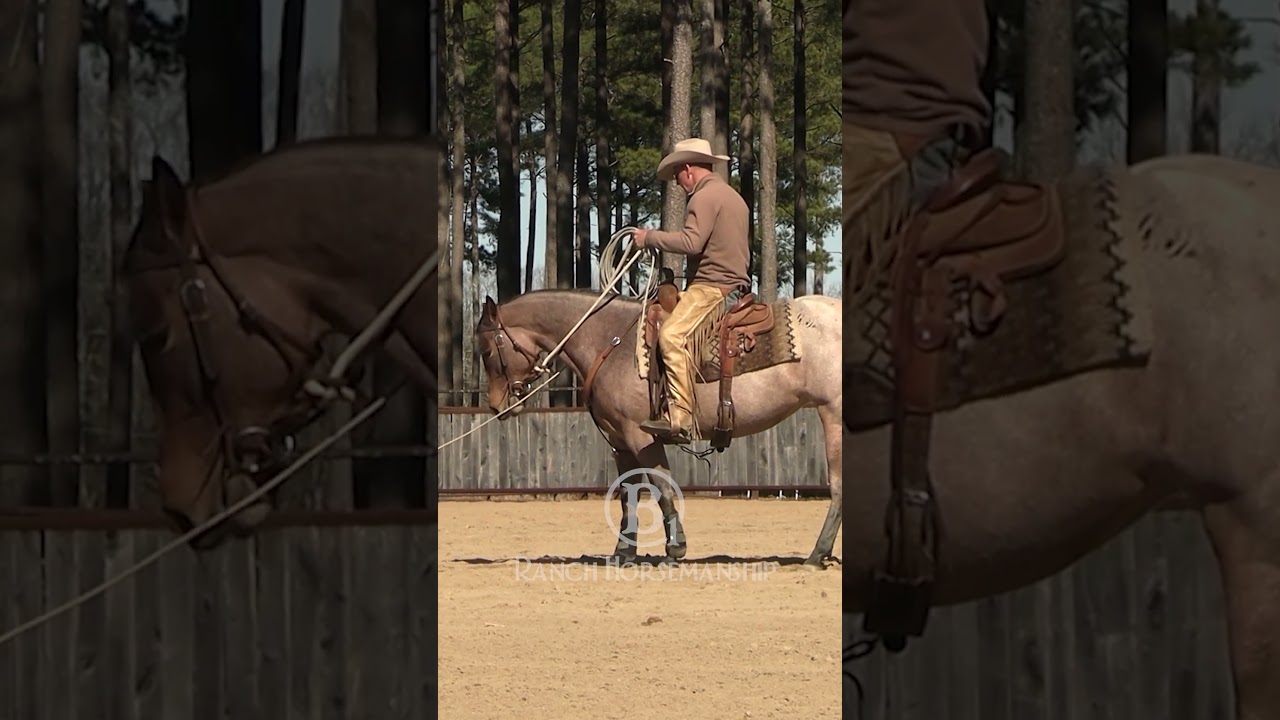 The safe and easy way to teach a horse to drag