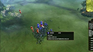 Shogun 2 Multiplayer 1v1 Replay Commentary #00011