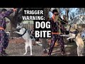 Exposed what really happened at dog daddyaugusto deoliveiras tampa event tw dog bite