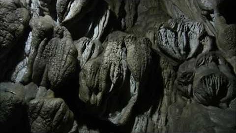 Wildest India 5of5 Indias Lost World DVDRip