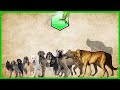 Dog Breed Comparison Size LIVING EXTINCT