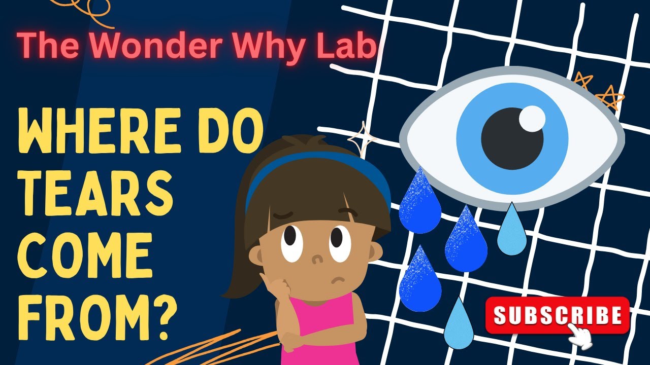 Science for Kids: Where Do Tears Come From?  | The Wonder Why Lab