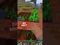 Çiftçi de olduk 😂 minecraft heyecanı devam ediyor