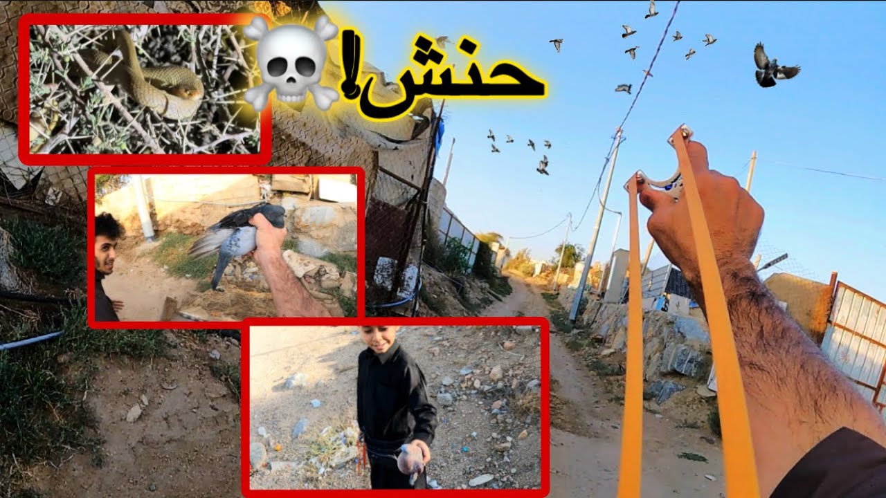 مع الصياد الصغير🧒🏻 العيش في البريه الجزء 60