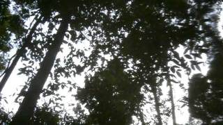 P1090647