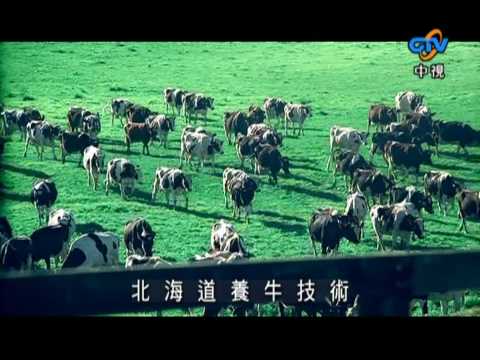 廣告 福樂 一番鮮 北海道鮮乳 2009 08