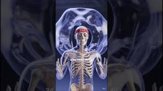 DIMENSION MYSTERY 🤔 #shortsfeed #skeleton #whatif #dimensions #mystery #science #shorts #3danimation