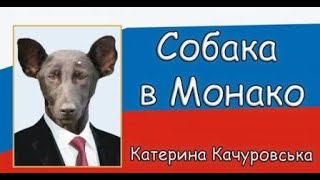 Собака в Монако -Катерина Качуровська