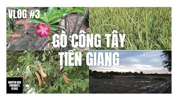 VLOG #3: MỘT BUỔI CHIỀU YÊN TĨNH Ở GÒ CÔNG TÂY, TỈNH TIỀN GIANG | Khả Phương Nguyễn