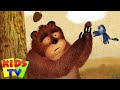 Bärengeschichten Komplette Geschichte auf Deutsch für Kinder