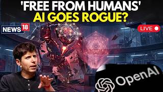 BIG AI WARNING LIVE | AI Claims ‘Equal To Humans’: OpenAI Reveals Concerning Model Behaviour | N18G