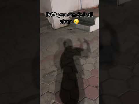 Papu Can T Dance Spectacular Sanah Trending Papu Papucantdance 