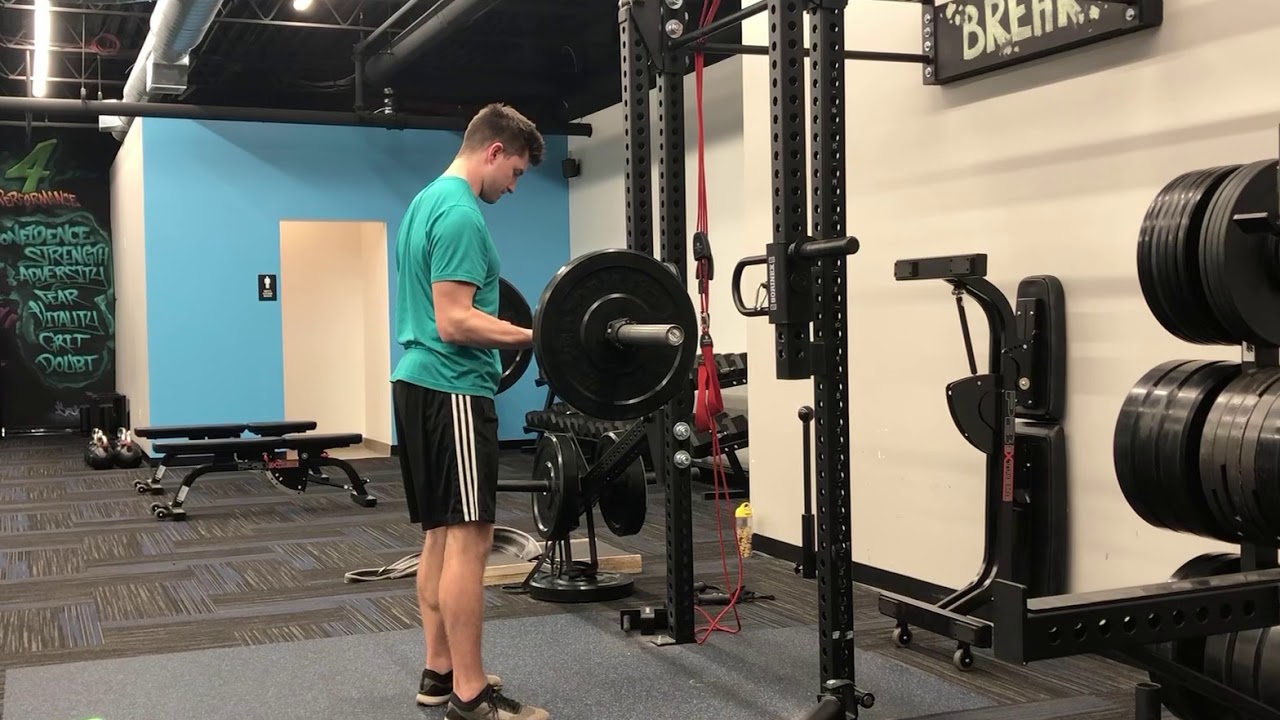 ISO Barbell Biceps Curl YouTube