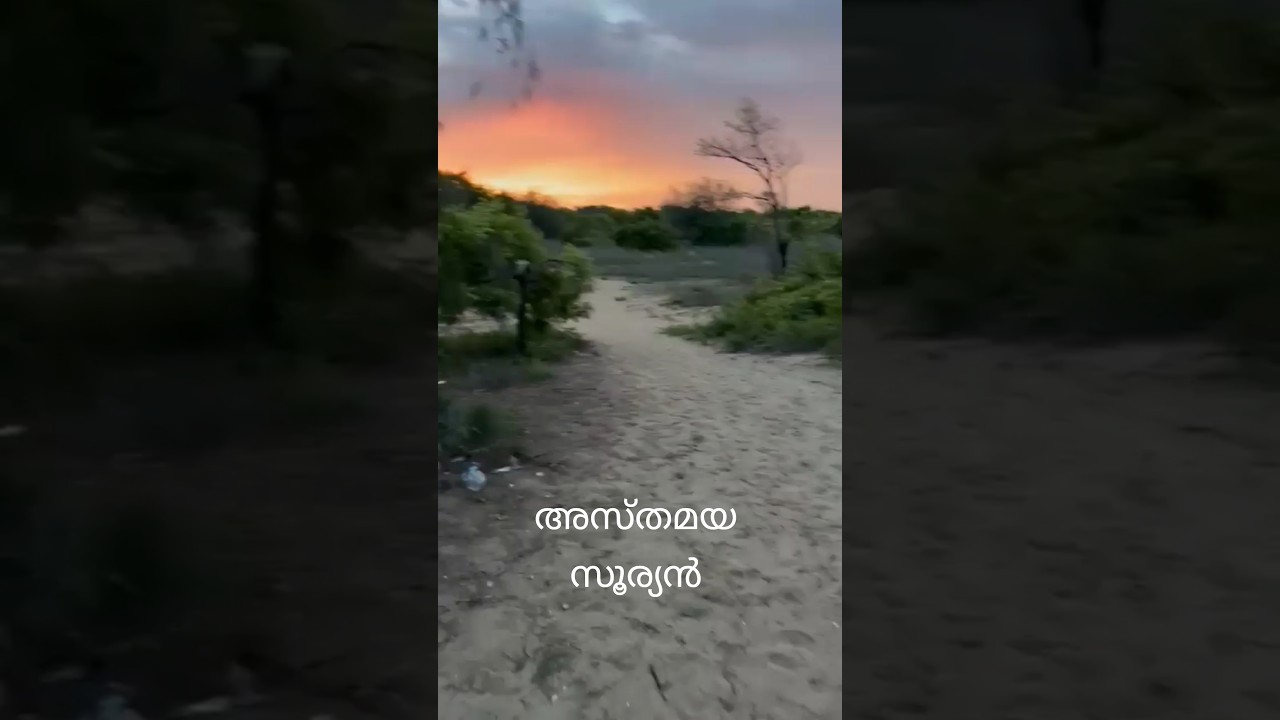 അസ്തമയ സൂര്യന് ദുഃഖം..#sunset #chennai