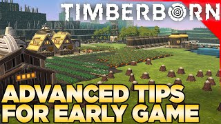 Timberborn - Advanced Tips for Early Game